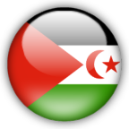 Flagi państw - western_sahara.png