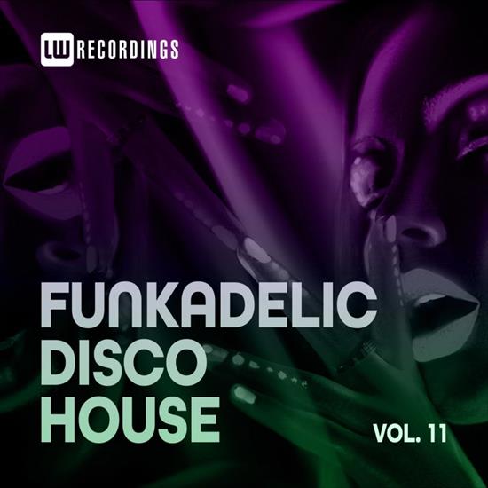 VA-Funkadelic_Disco_House_11-LWFNKDH11-WEB-2021-COS - 00-va-funkadelic_disco_house_11-web-2021.jpg