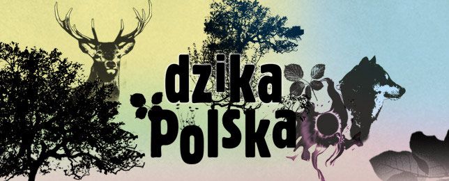 Dzika Polska - Dzika Polska 2008PL-Dzika Polska.jpg