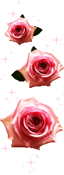  GALERIA-LINIE OZDOBNE - trzy wiszące róże.gif