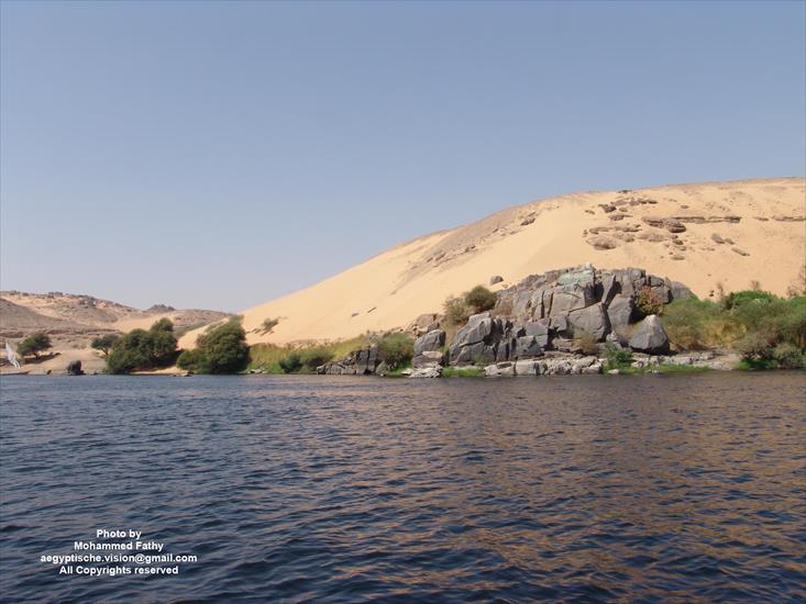 Przyroda - Przyroda w Aswan 83.jpg