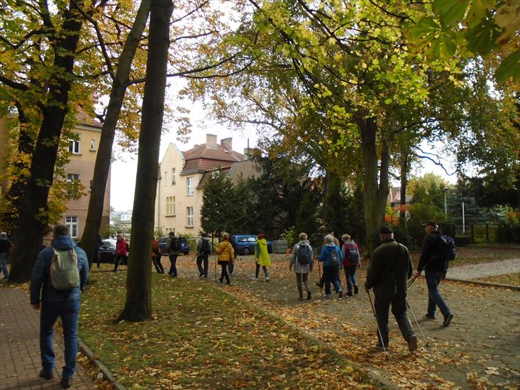 2019.10.26 Sopot - Sopot Wyścigi - DSC03493.JPG