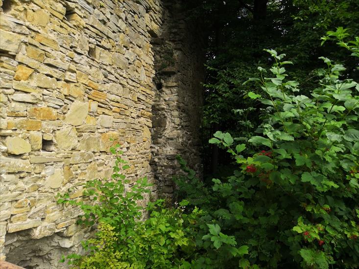  ruiny zamku Sobień - l.jpg