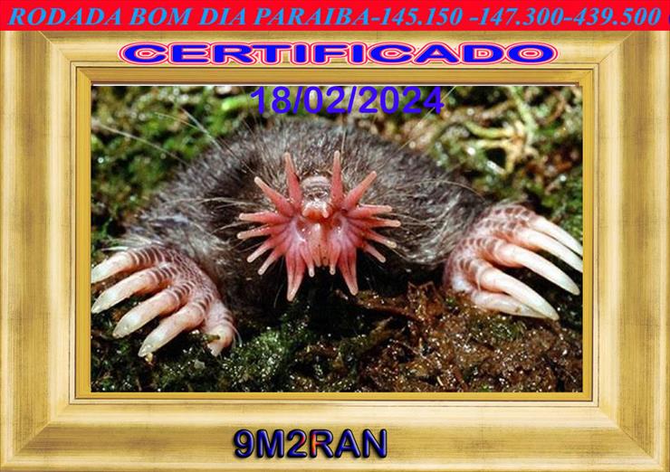 ZZZ QSL JA ENVIADOS - toupeira_nariz_de_estrela_22670_17_600 9M2RAN3.jpg