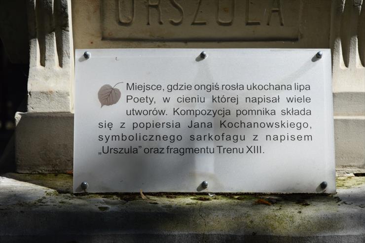 2020.08.12 03 - Czarnolas - Muzeum Jana Kochanowskiego - 031 - Obelisk Kochanowskiego.JPG